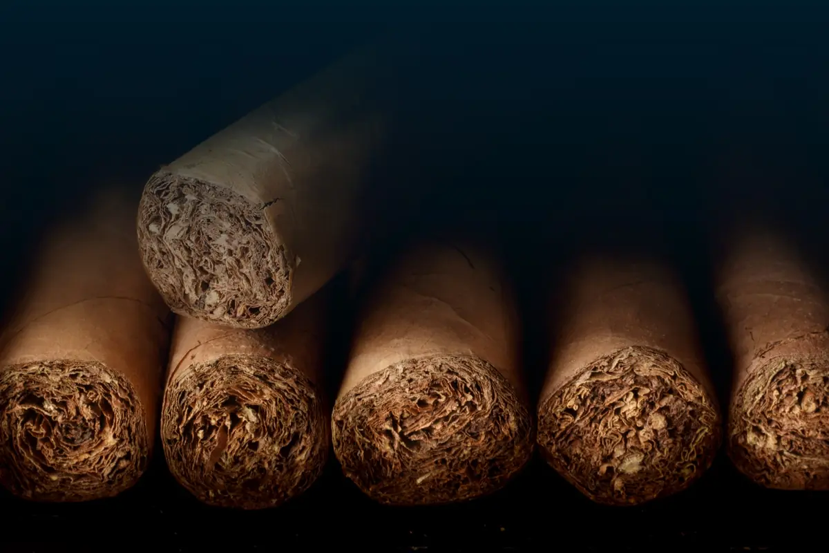 Premium cigars stacked on a dark ground, cut ends showing the rolled filler leaf